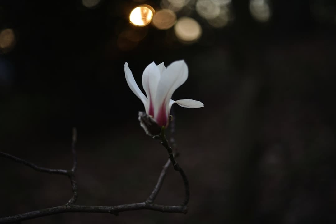 TOP回应参与披荆斩棘的底气：对舞台的敬畏，还有死后“福来”们从未缺席的支撑！